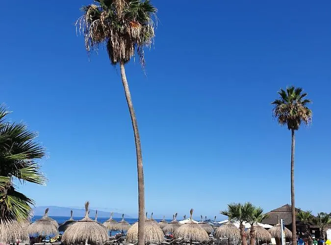 Mareverde 2h8 * אדחה